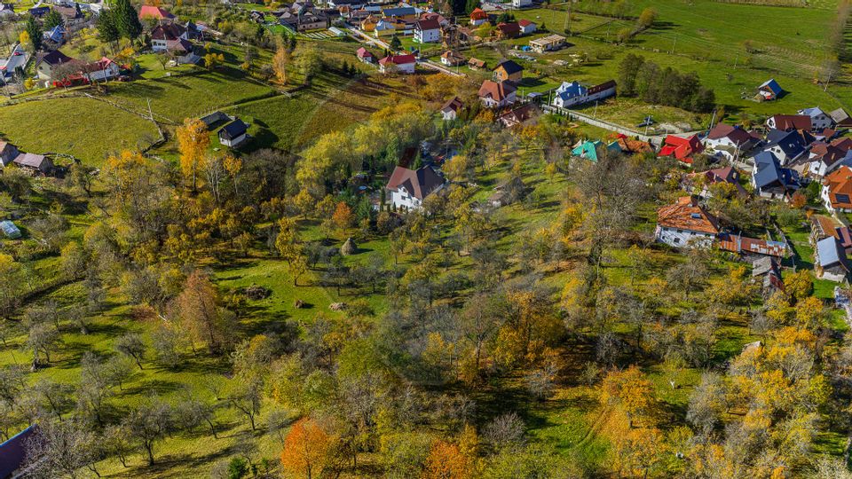 Pensiunea Scărișoara – Refugiul din Inima Rucărului | Comision 0%