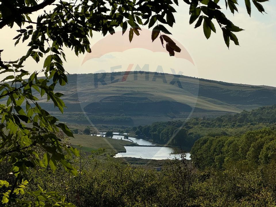 Land 50,000sqm Caianu-Vama / Strada Principala