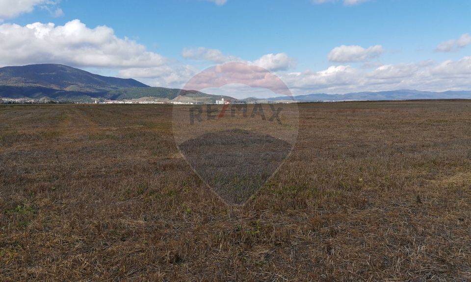 Land 31,200sqm Codlea / Strada Fagarasului