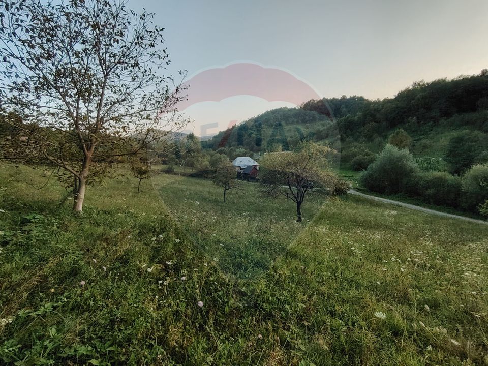 Land 2,339sqm Barsana / Strada Principala
