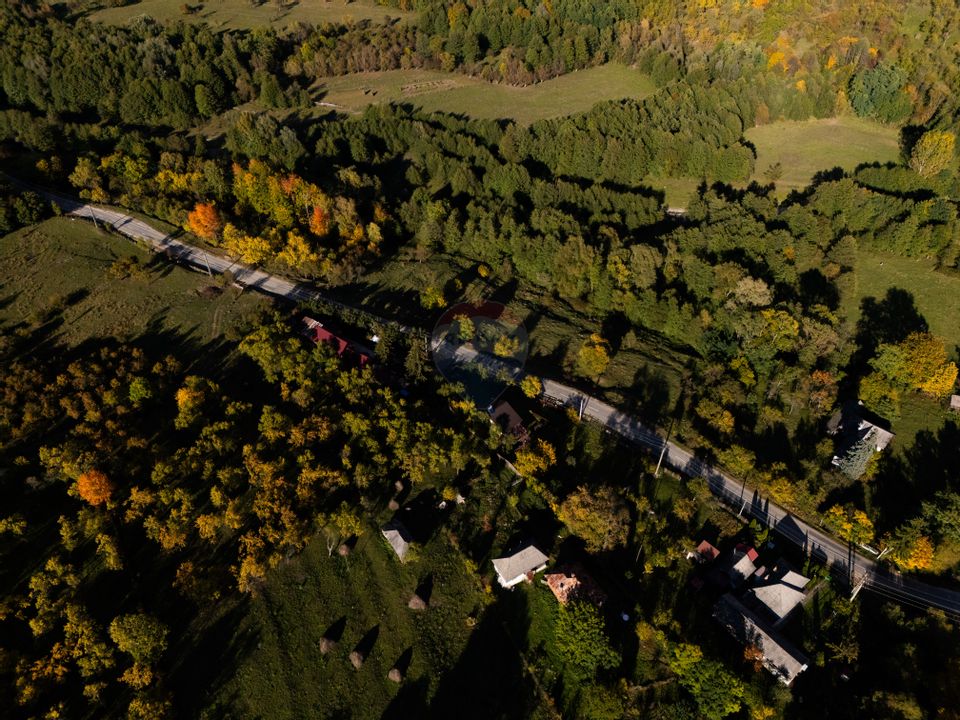 Vânzare pensiune renovată 2025 – 6 camere, Corbșori (Poenari)