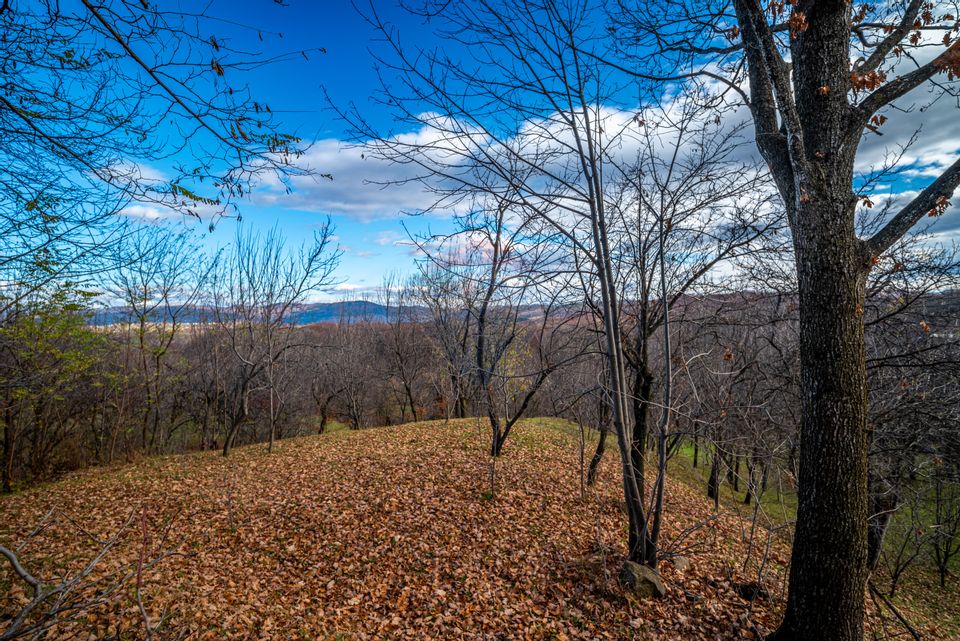 Teren intravilan 4384 mp – Comuna Talea,  județul Prahova