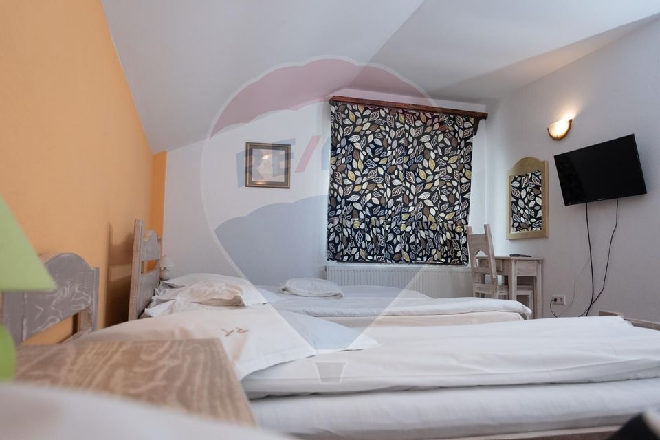 18 room Hotel / Pension for sale