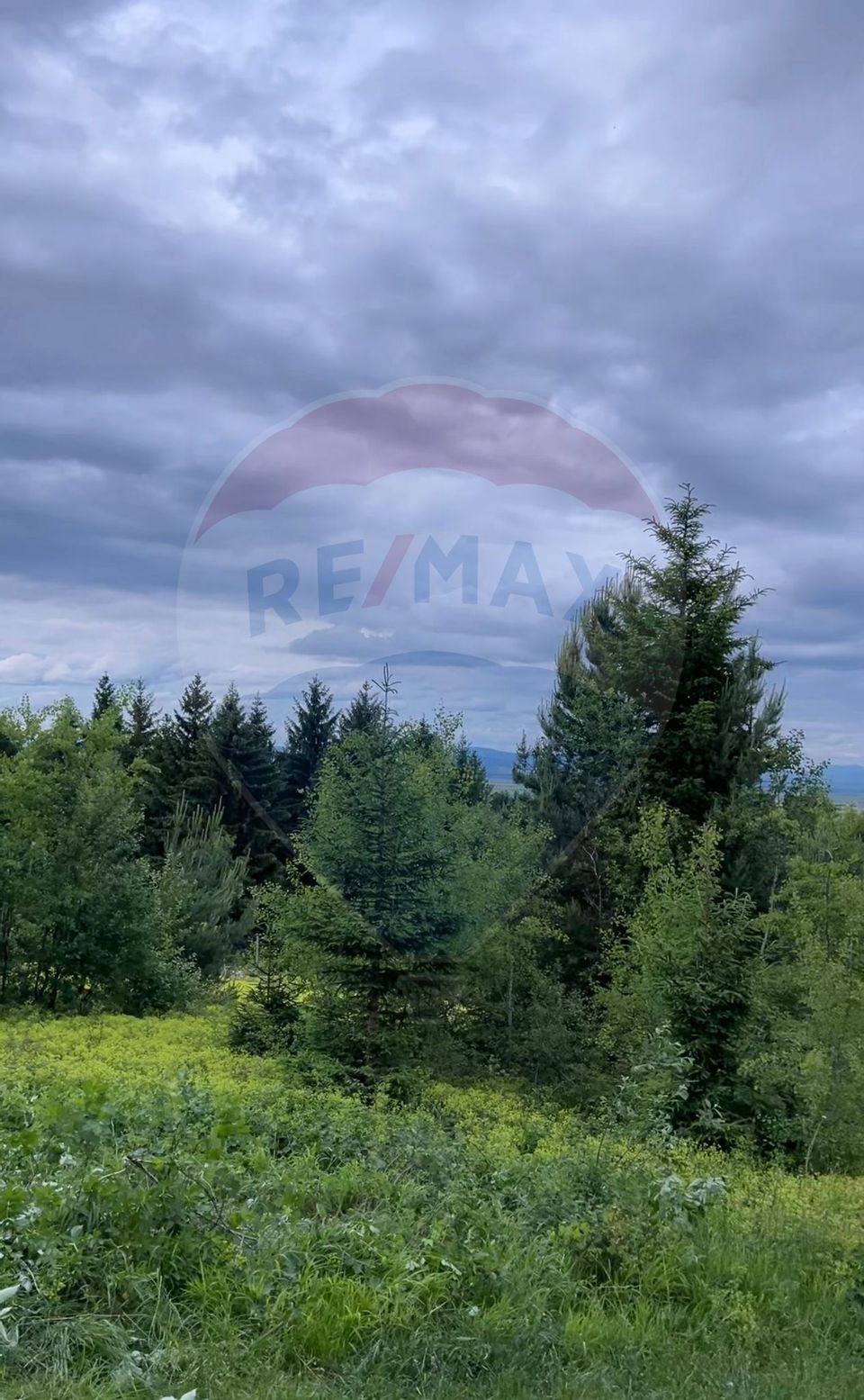 Teren Sacele / Strada Valea Larga 2000 mp