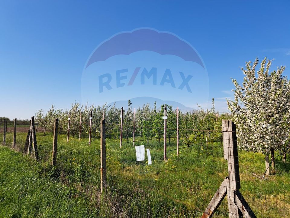 Vanzare teren Livada - Ferma Arges - Izbasesti / DN 142 langa Pitesti