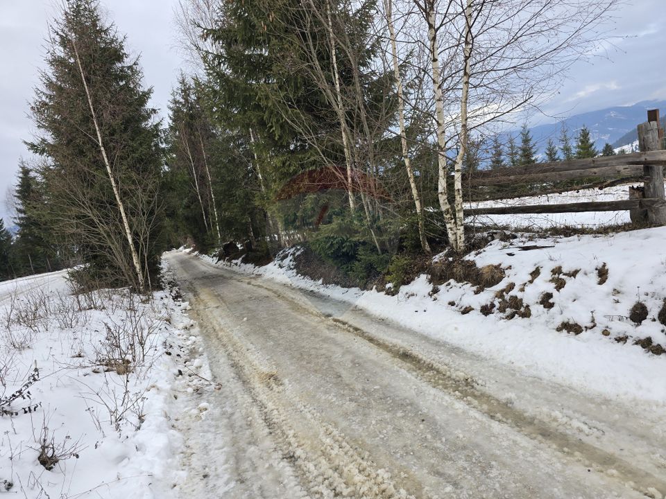 Teren 3,868mp Dorna-Arini / Strada Principala