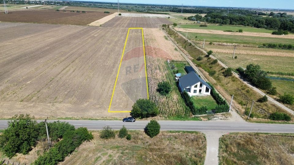 Land 5,000sqm Vanatori / None