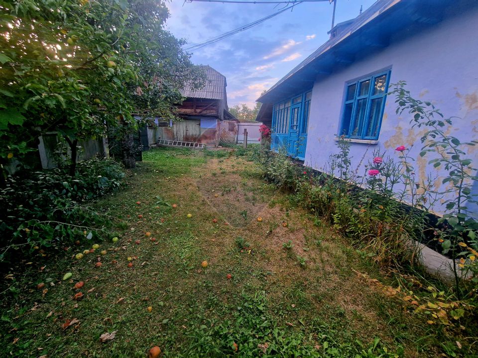 3 room House / Villa for sale