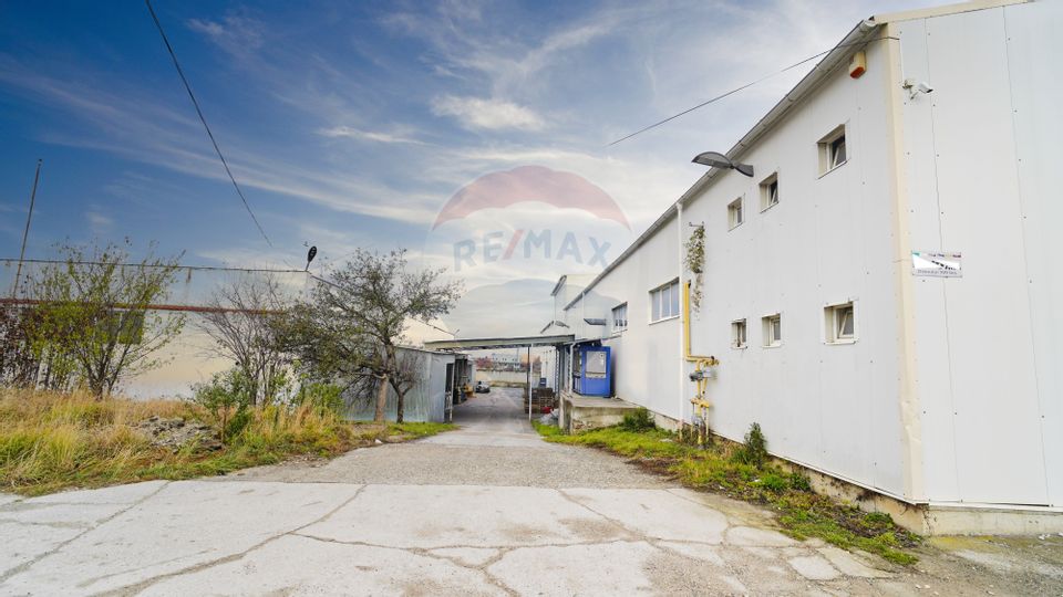 Hala industrială – investiție stabilă sau potențial operațional