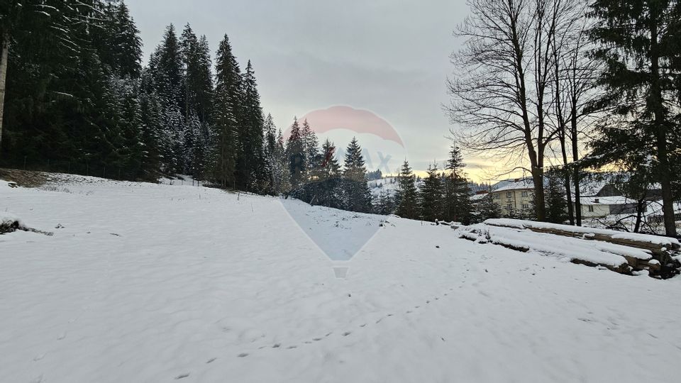 Teren in Bucovina, intravilan 3824 mp Deia-Frumosu, Suceava