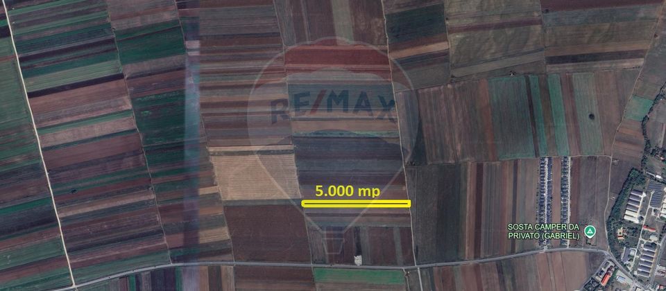 Teren Extravilan 5.000 mp Tarlungeni / Strada Zizinului