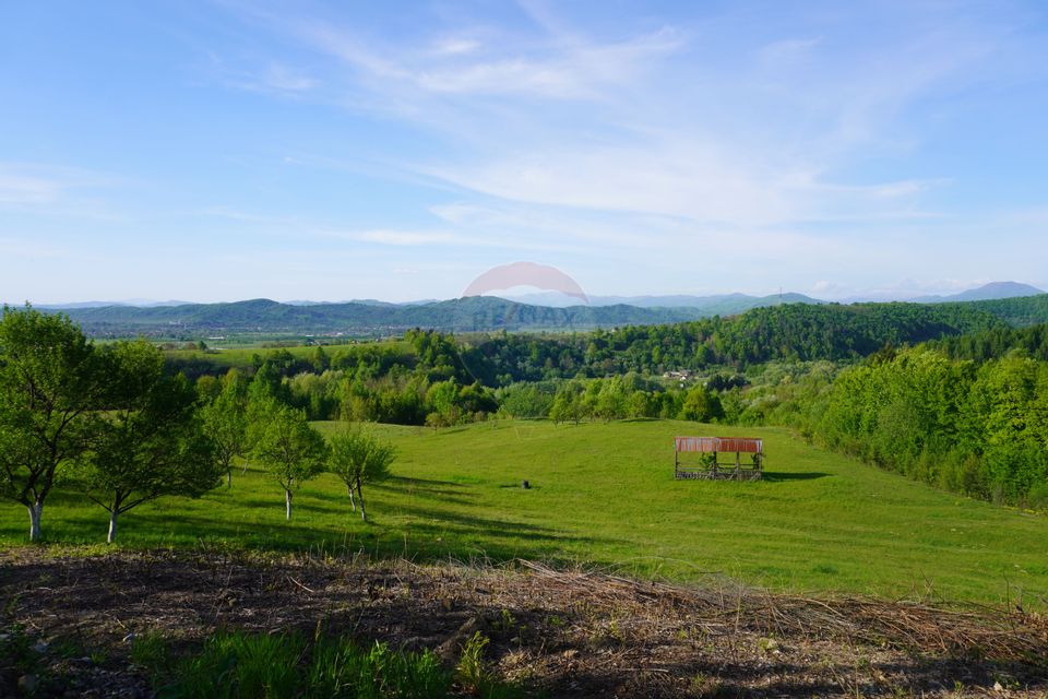Teren 15,000mp Sighetu Marmatiei / Strada Mocăniței