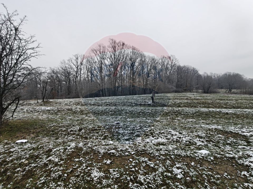 Teren 5,700mp Somcuta Mare / investitie cu potential major