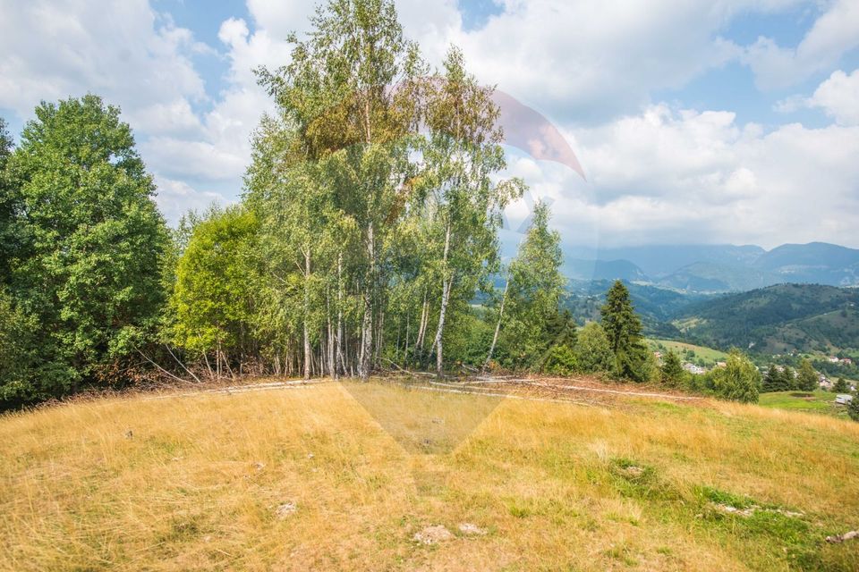 Teren extravilan Moieciu 45316mp