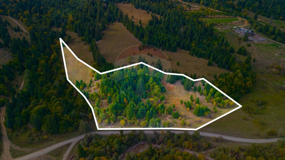 Land 18,900sqm Sacele / Strada fara nume