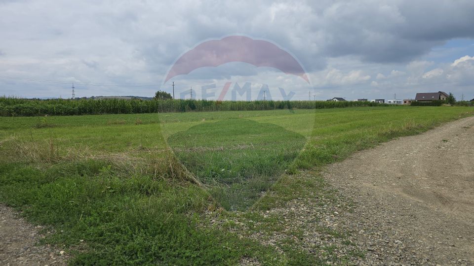 Teren 1,791mp Radauti / Strada Caramidariei