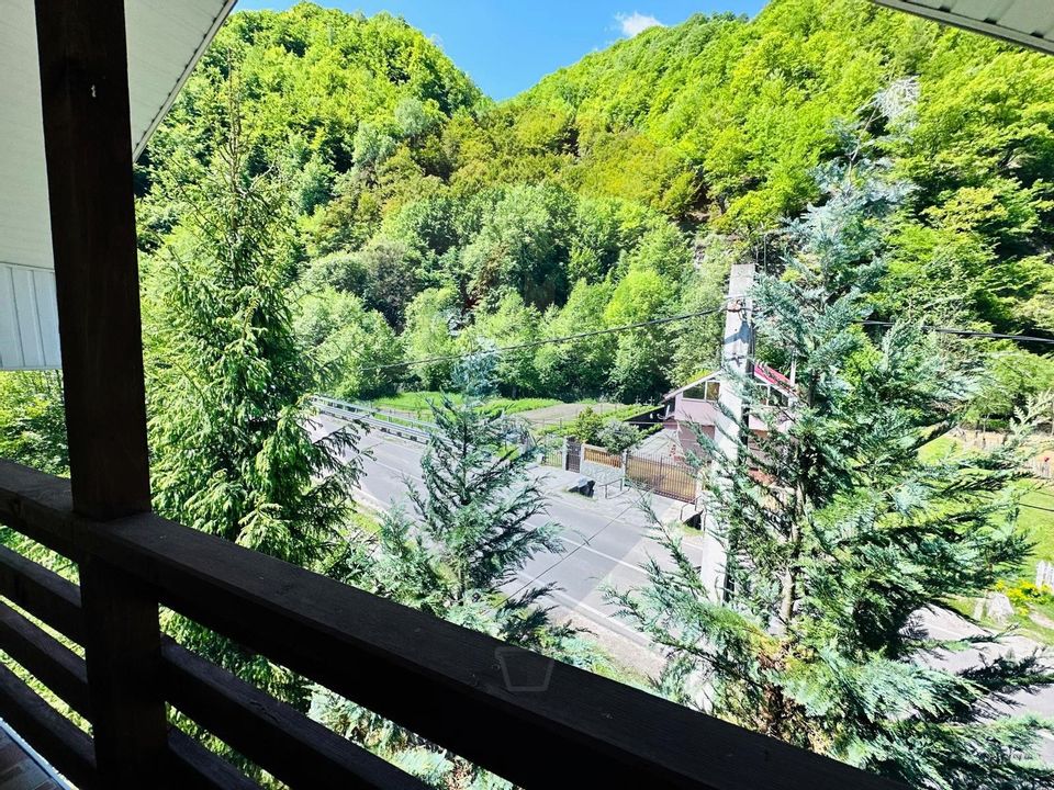 Pensiune + Vila pe malul raului Lotru-Malaia,Valcea