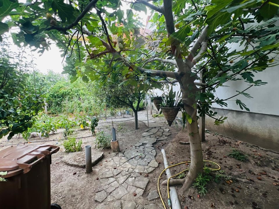 Casă  individuala zona ultracentrala Barbas bela
