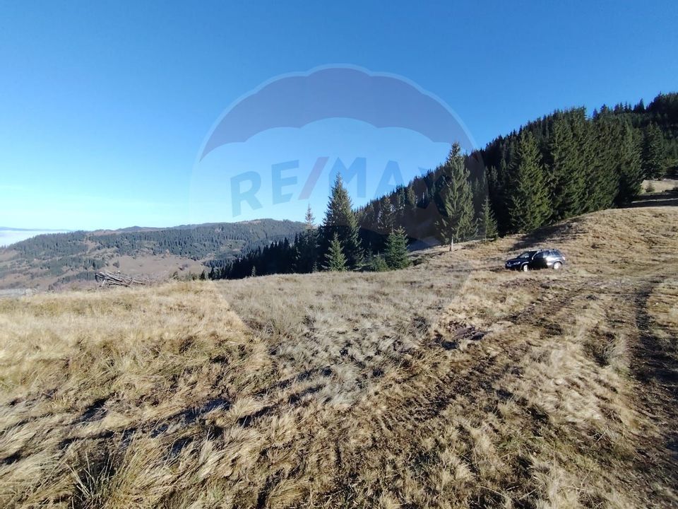 Teren 31,461mp Panaci / Prelungirea Ialovita