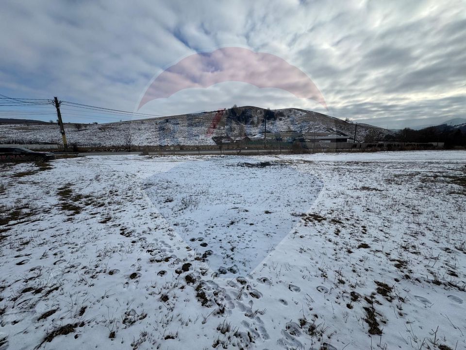 8 room House / Villa for sale, Darmanesti area