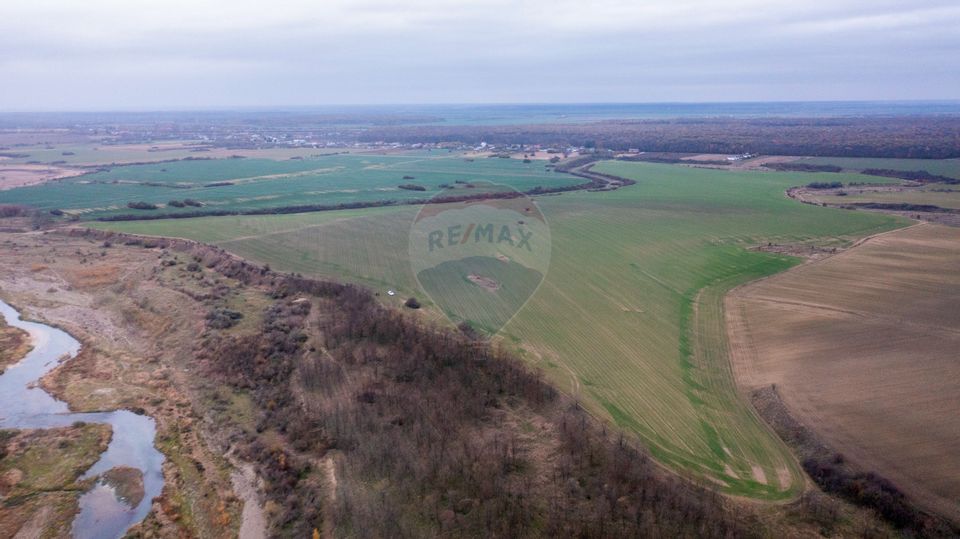 Land 310,000sqm Catunu (Berceni) / Intrarea tarla 17