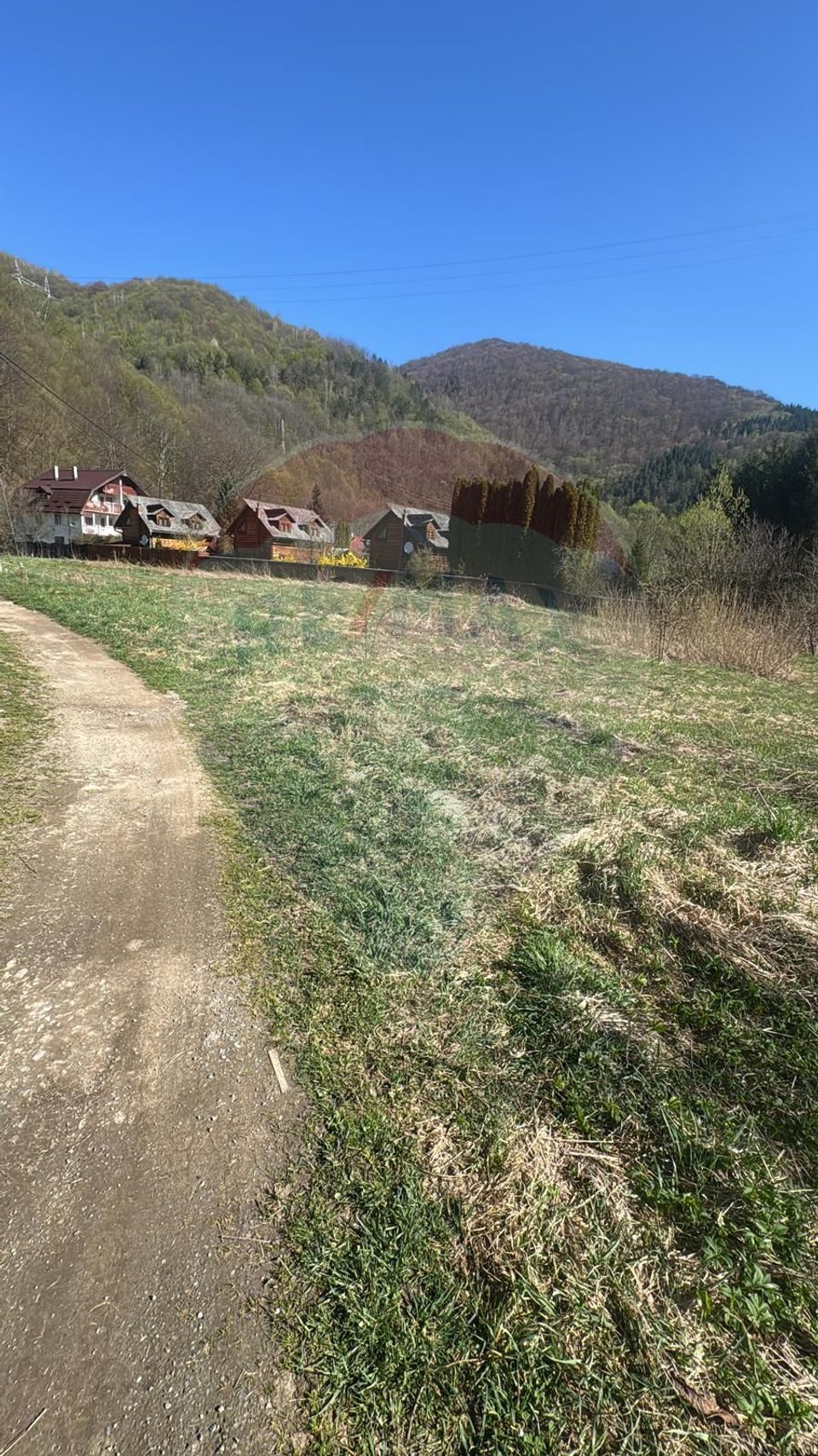 Teren Tarnița / Lăpușești