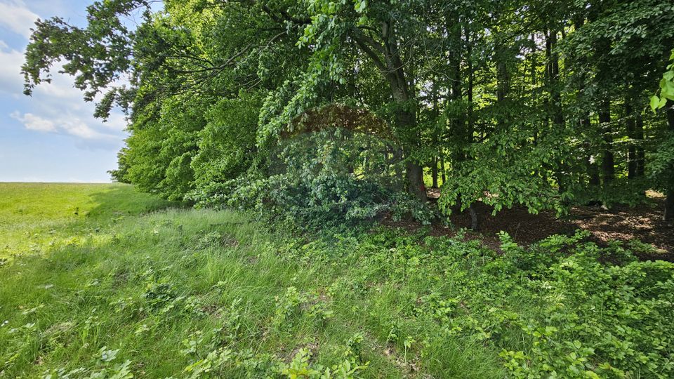 Teren Ilisesti  7000mp extravilan/ DN 17, Suceava