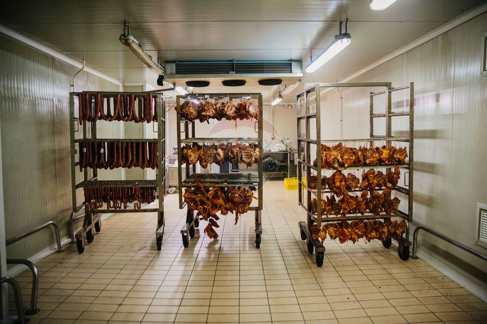 De vânzare AFACERE la cheie--CARMANGERIE--ABATOR--PREPARARE MEZELURI