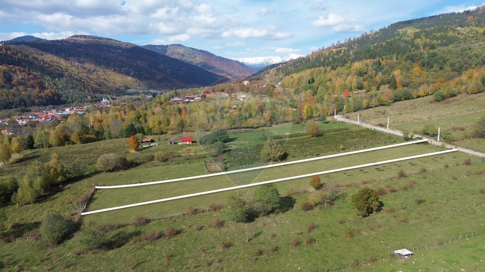 Land 3,831sqm Leresti / Strada Poduri