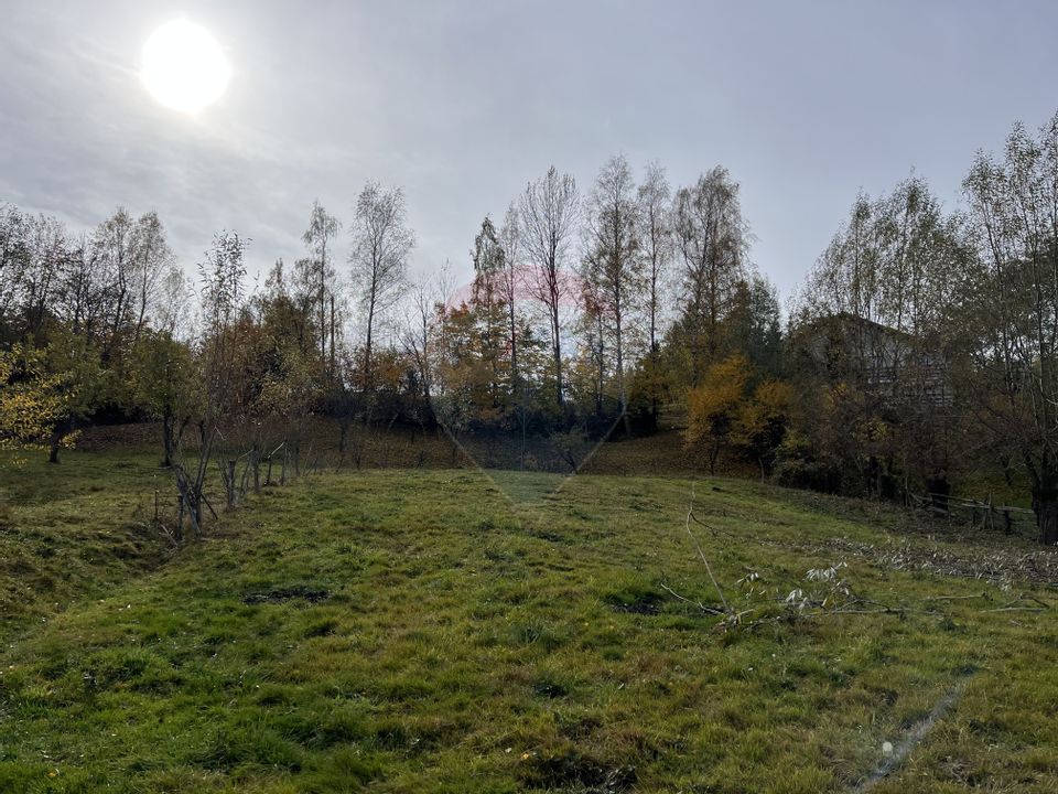 Teren de Vis în Bran – 1000mp Plat, Liniște Absolută și Aer Curat