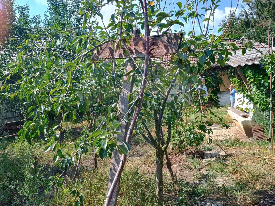 Casă / Vilă cu 4 camere de vânzare în zona Aradul Nou