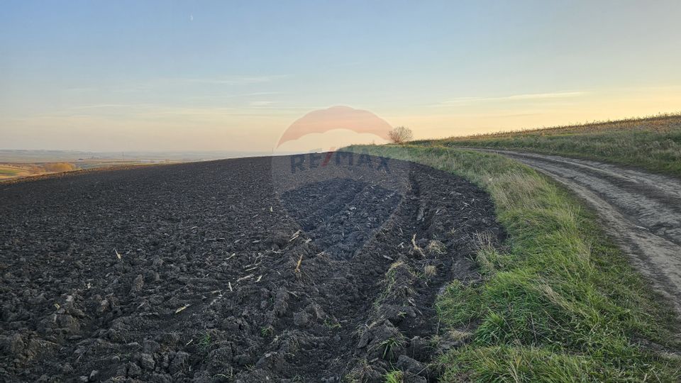 Land 30,077sqm Stroiesti / Soseaua DN17