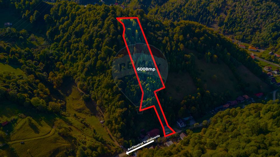 Land 6,008sqm Moieciu de Jos / Strada fn