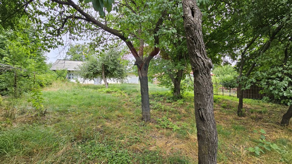 Casa  de vânzare cu teren 9200 mp, Pădureni-Șendriceni, Botoșani