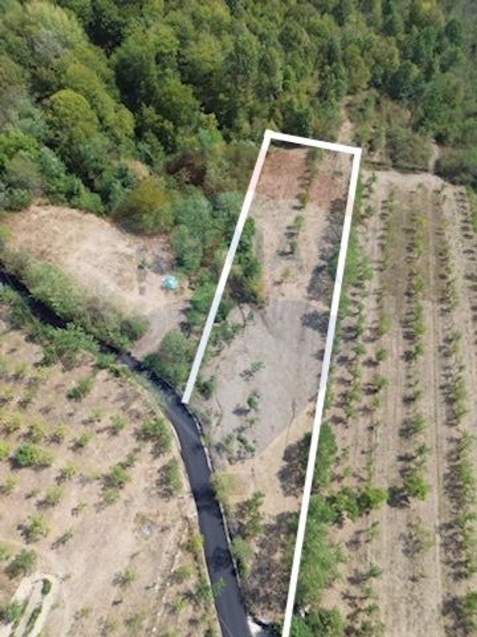 Land 4,992sqm Babana / Drumul Ciobanesti