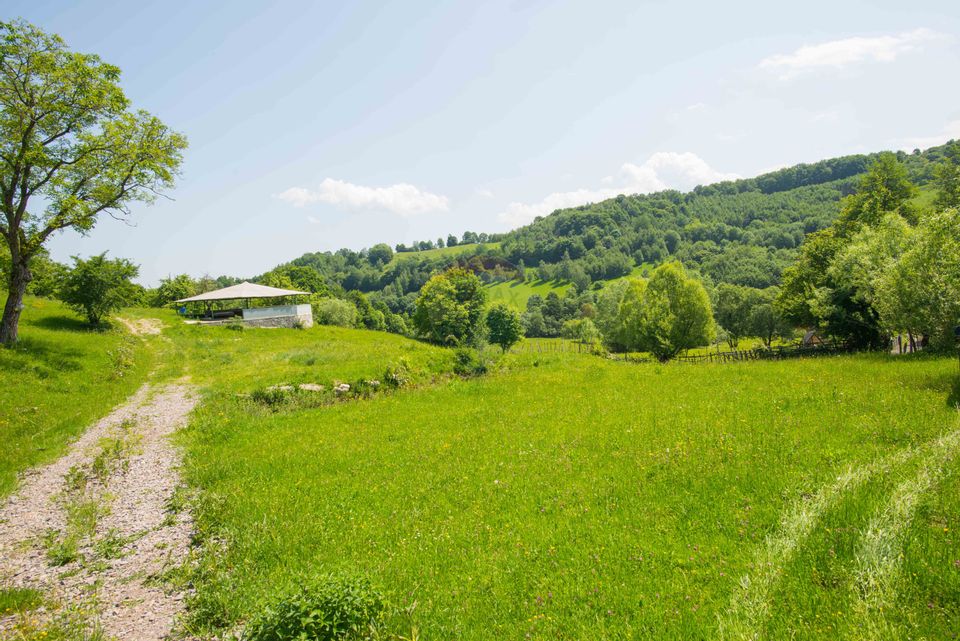 Land with utilities, 5,495sqm Bran - panoramic view, near Bran Castle