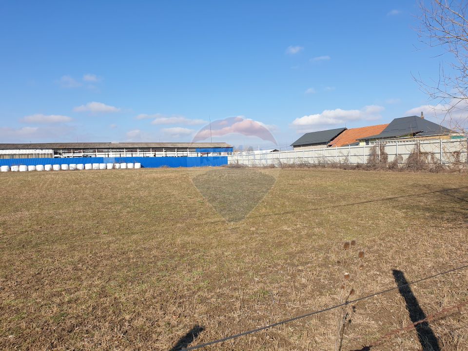Teren intravilan, 4600 mp, Tărlungeni, DJ 103A