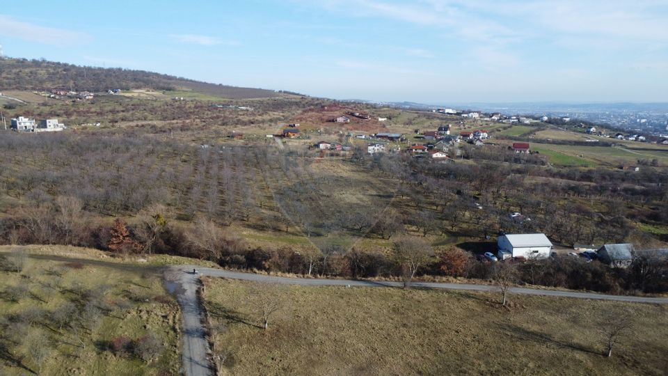 Teren 20.146 mp Dâmbu Rotund (Lomb).Extravilan.Potențial rezidențial
