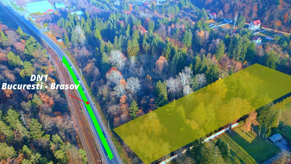 Land 10,000sqm Timisu de Jos / Strada Timișul de Jos