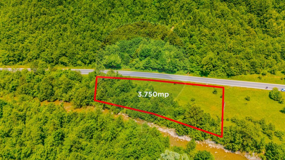 Land 3,750sqm Sacele / Drumul Bradet