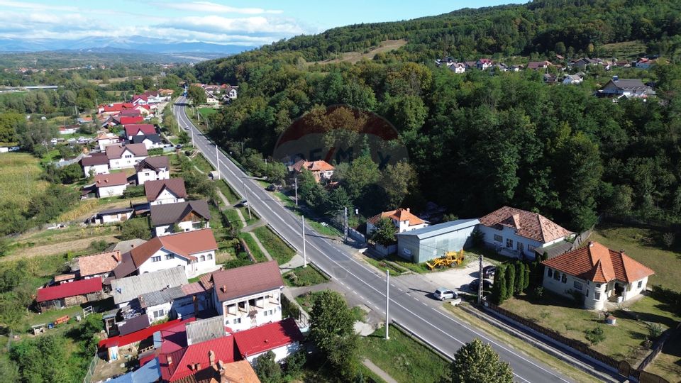Spatiu comercial si casa de vanzare in Furnicosi.