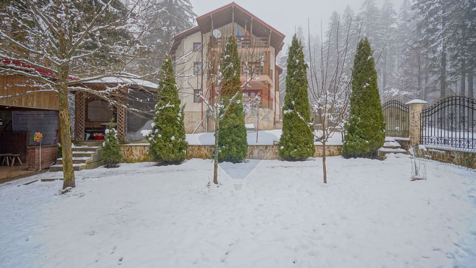 8 room House / Villa for sale, Valea Rasnoavei area