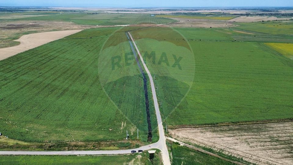 Land 1,486,280sqm Maicanesti / None