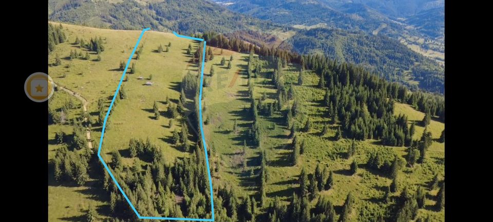 Teren 47,732mp Panaci / Strada MIhailet