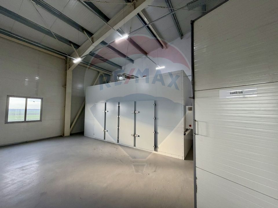 Oportunitate! Hala noua procesare catina de vanzare - Piscu, Galati