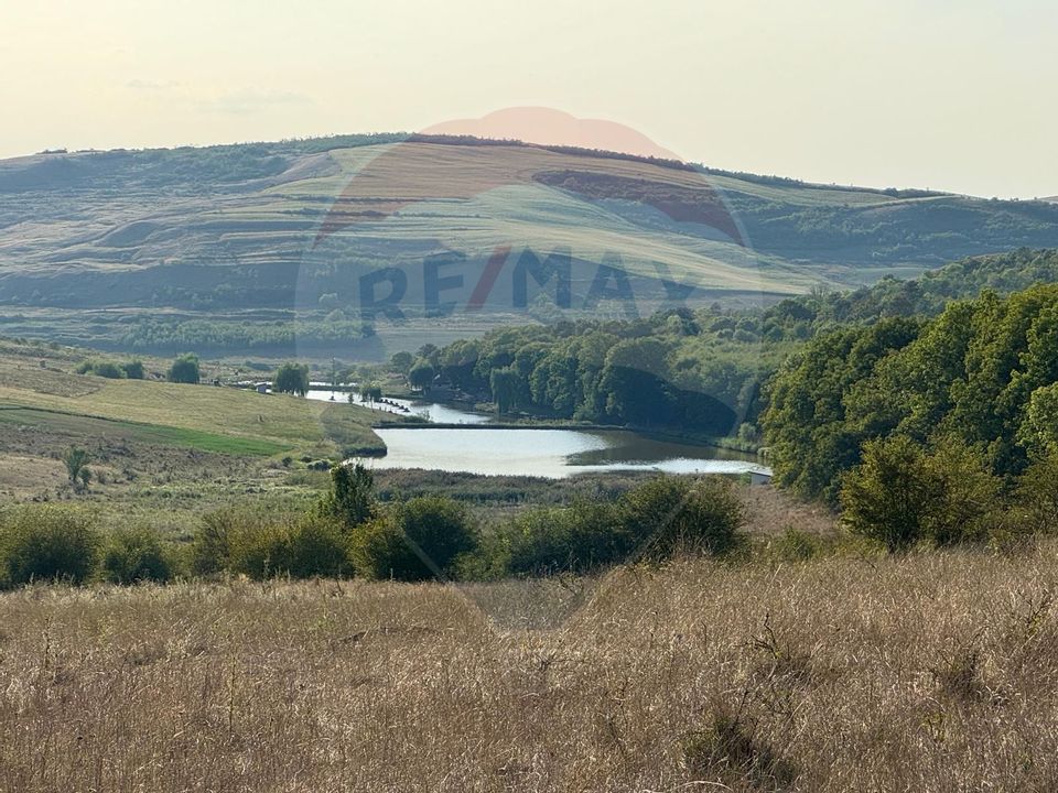 Land 50,000sqm Caianu-Vama / Strada Principala