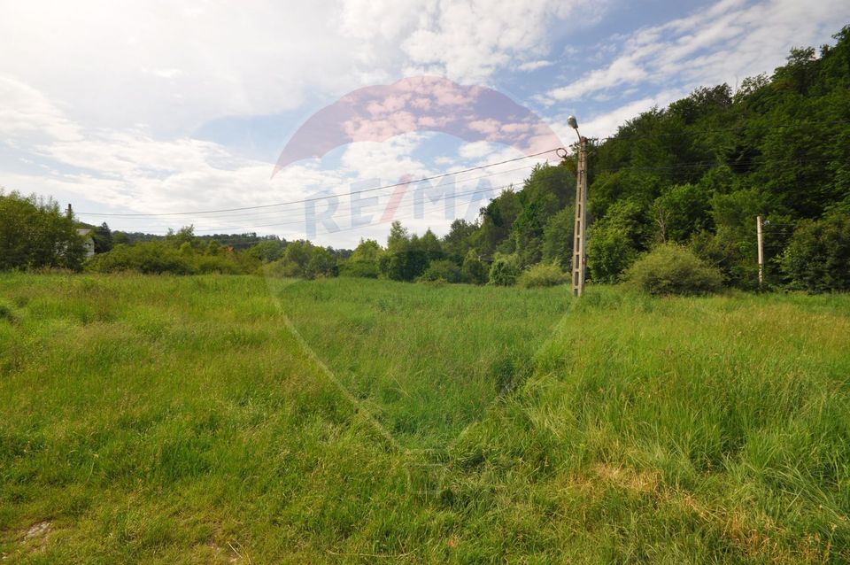 Teren Brasov - Noua, la marginea padurii, 929mp