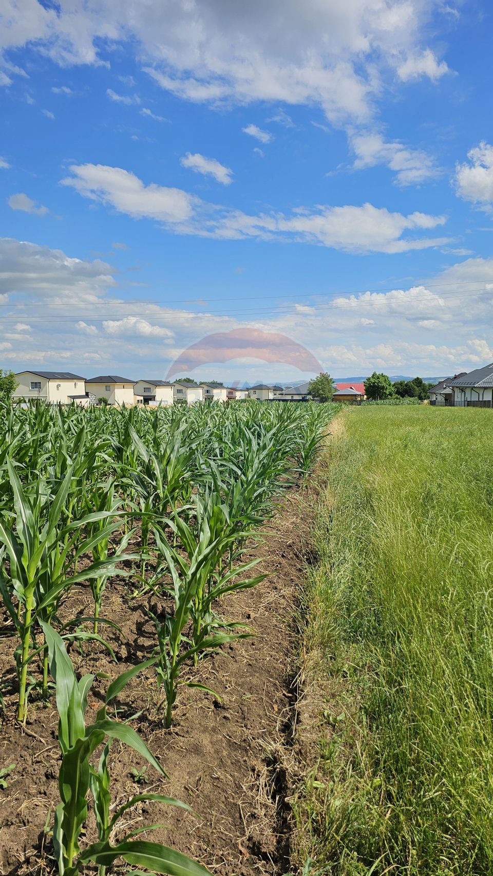 Casă / Vilă, teren 1700mp,  în Lisaura-Ipotești, Suceava