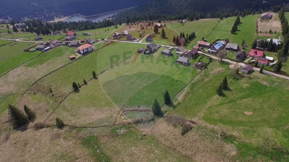 Land 8,572sqm Balcesti (Belis) / Strada Principala