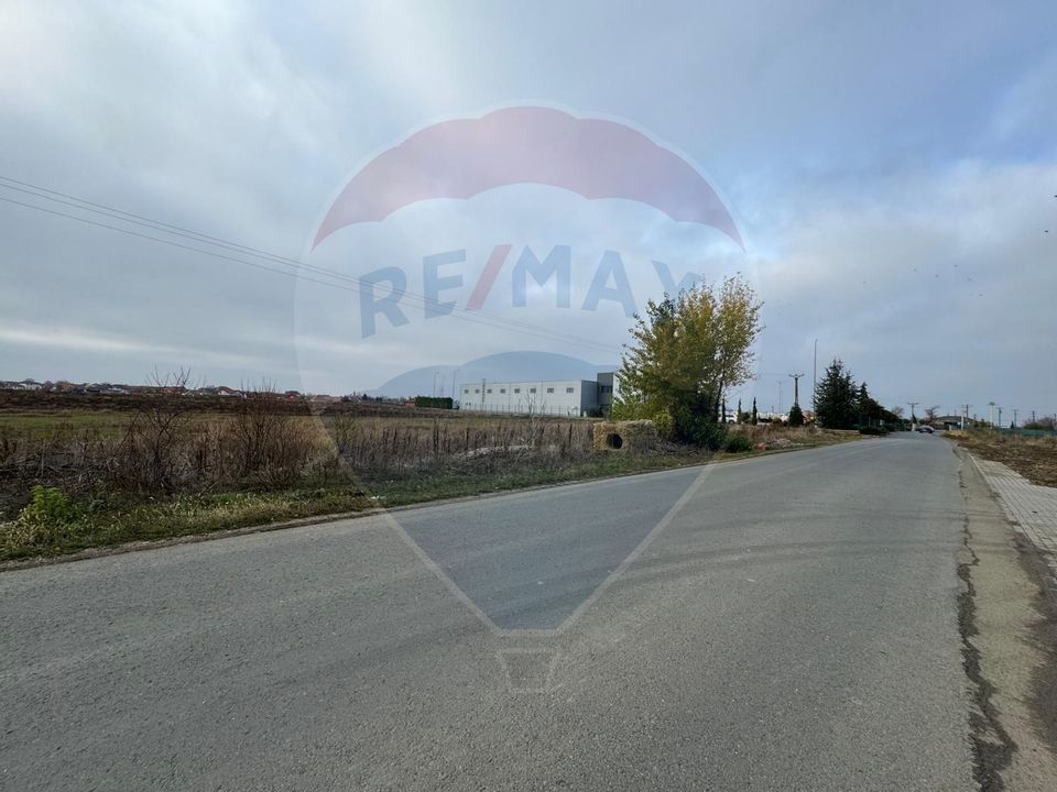 Land 1,000sqm Vladimirescu / Strada Padurii
